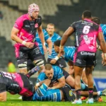 Pumas
