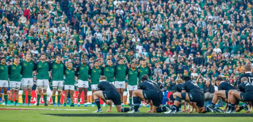 Springboks 2024